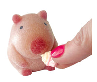 ZABA Fuzzy Friends Capybara - ToyTime