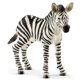 Zebra Foal 14811...@Schleich - ToyTime