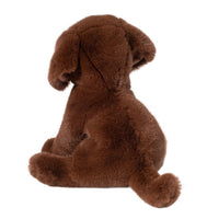 Zoom Chocolate Lab 1916 - ToyTime