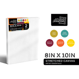 Stretched Canvas 2PK