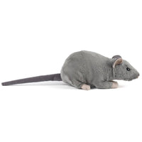 Rat with Squeak