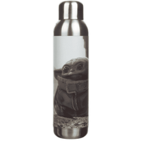 Star Wars Mandalorian Grogu 22 Oz Stainless Water Bottle